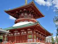 1 full day Solo trip in Narita Japan