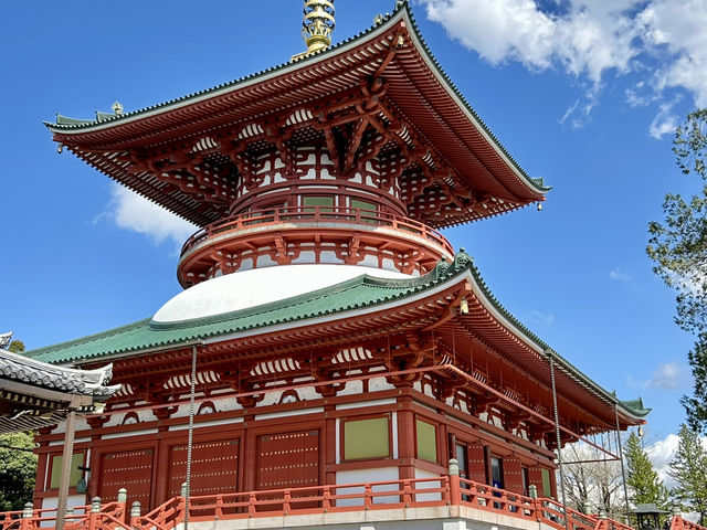 1 full day Solo trip in Narita Japan