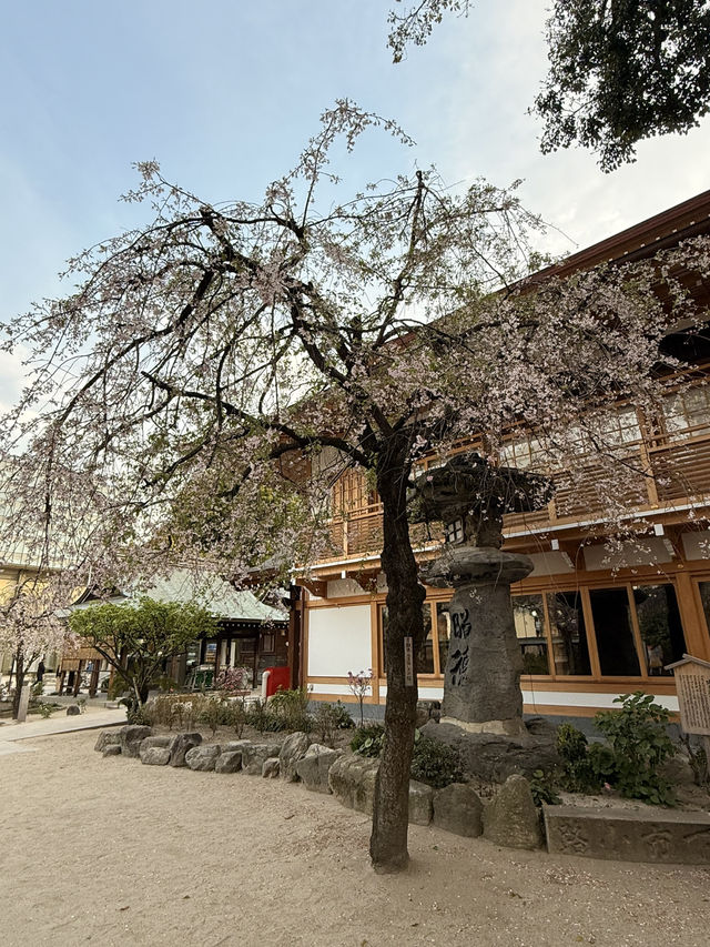 【福岡】「博多祇園山笠」発祥の地✨