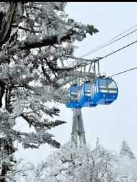 Just 2.5 hours from Chengdu, and it felt like stepping into a snow globe!