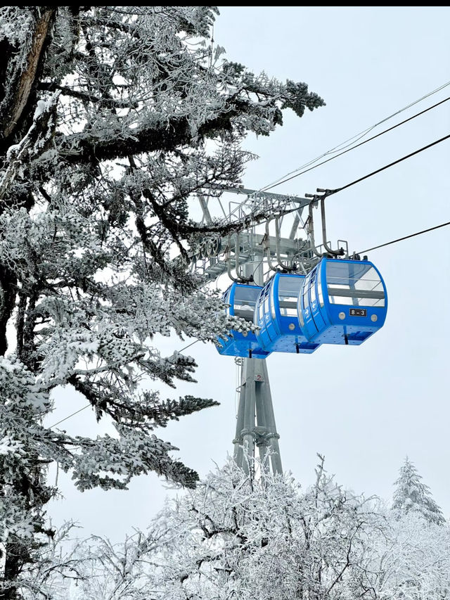 Just 2.5 hours from Chengdu, and it felt like stepping into a snow globe!