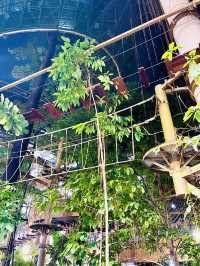 “Urban Jungle Escape: Treetop Thrills at 1 Utama’s Rainforest”
