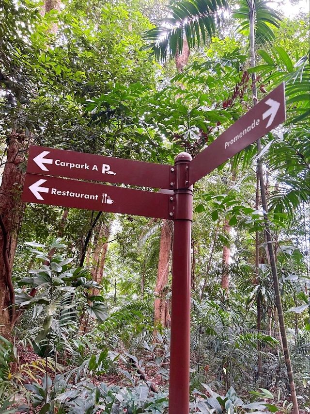 Outdoor Adventure at Labrador Nature Reserve 