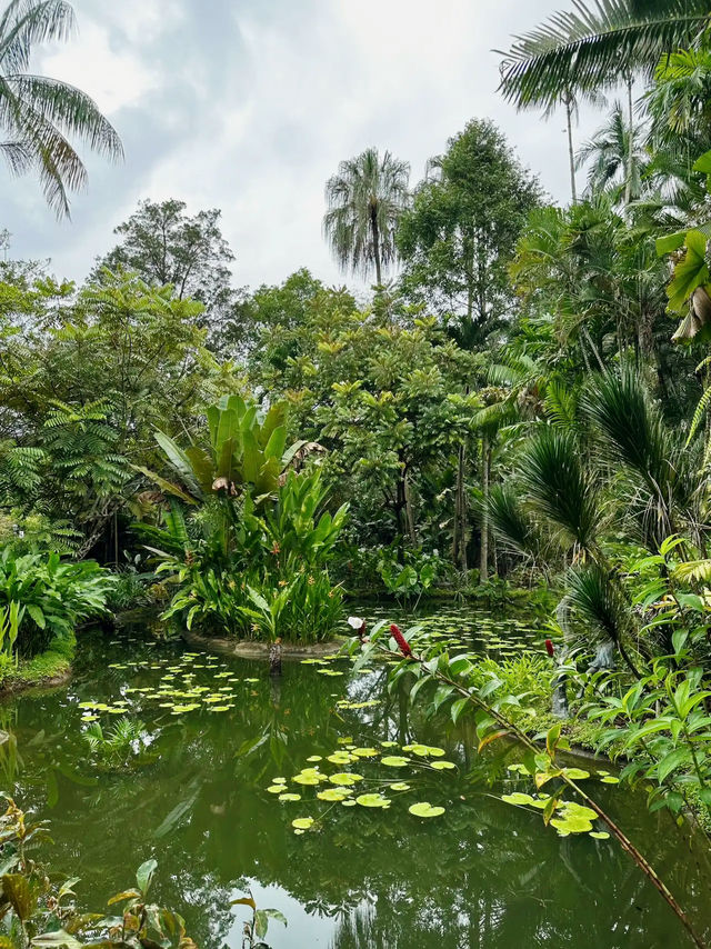 An Enchanting Retreat: The Ginger Garden 