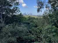 Mount Coottha Botanic garden 