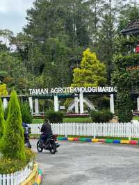 Most attractive place in Malaysia, Cool fresh air.