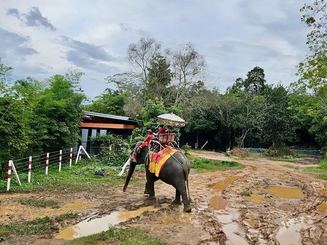 🐘 Chang Puak Elephant Camp Hat Yai: An Ethical Elephant Encounter in Nature 🍃