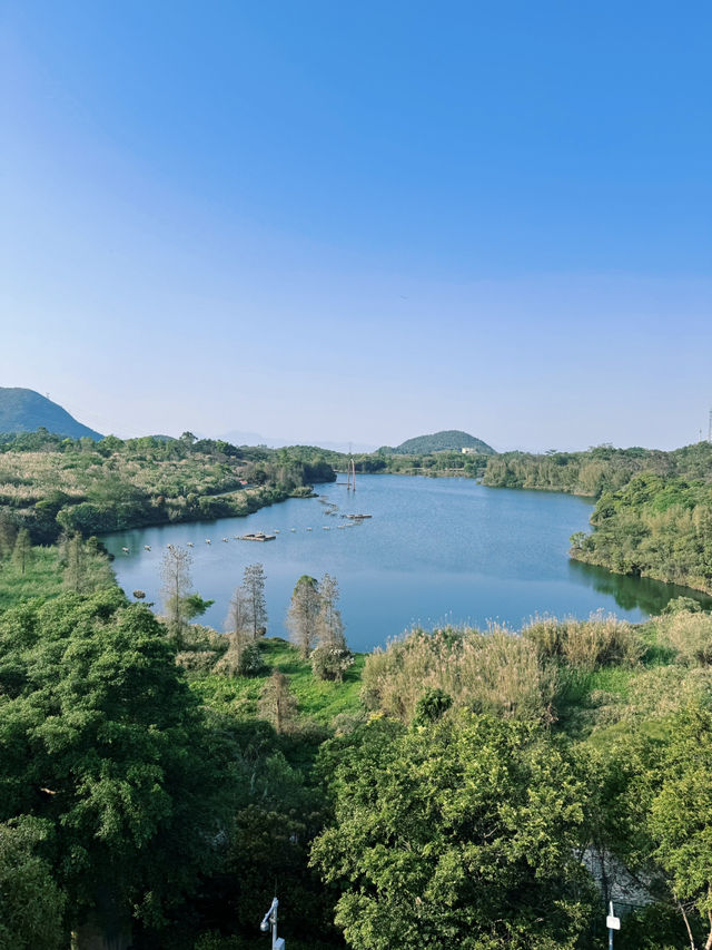 東部華僑城