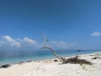 Pulau Besar: Where Pirate Legends & Secluded Beaches Collide" 🏝️⚓