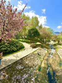 <厄爾甘迪橋>