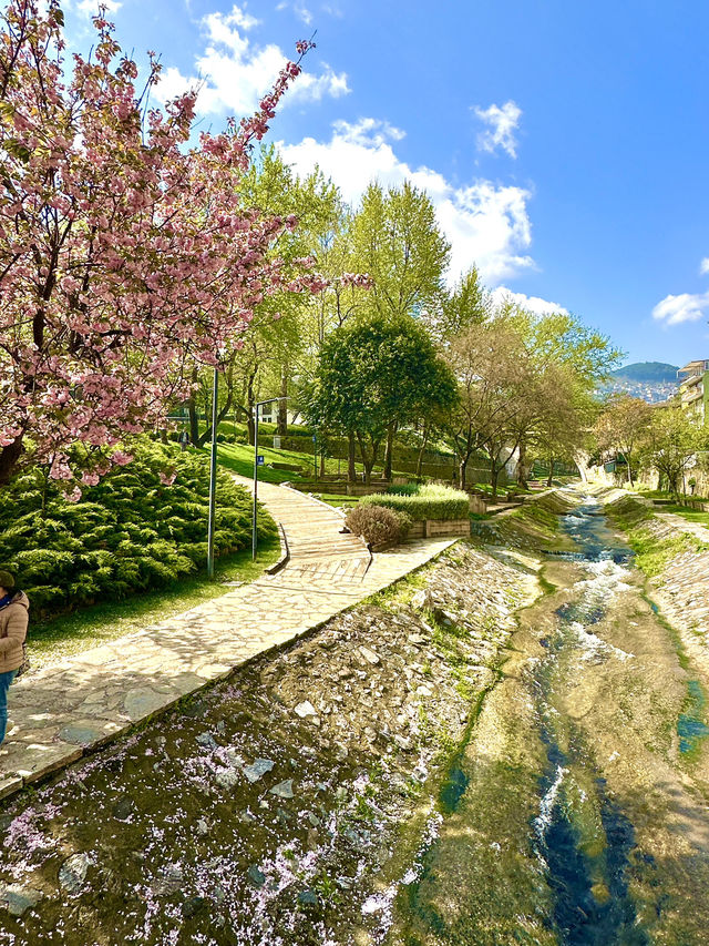 <厄爾甘迪橋>