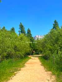봄은 피크닉의 계절! 부산 및 근교 피크닉 공원 여행코스 🌱