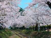 青森蘆野公園 - 日本文豪太宰治的童年足跡