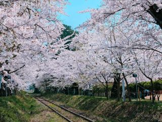 青森 아시노 공원 - 일본 문호 다자이 오사무의 어린 시절 발자취