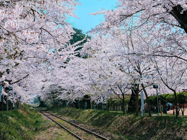 青森蘆野公園 - 日本文豪太宰治的童年足跡