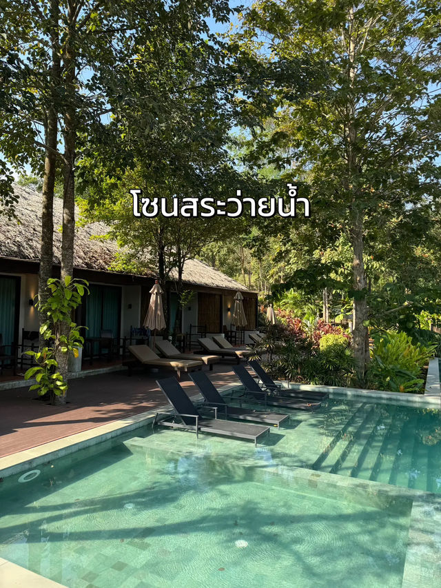 🌳 รีวิวที่พักสวนผึ้ง ที่ต้องไปซ้ำ บริการดีมาก!🥰✨