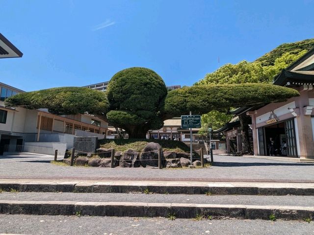 【鹿児島】大きな鳥居の照國神社でお参り