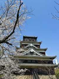 【広島】広島城桜まつり