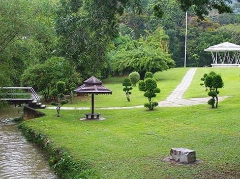 🌿 Botanic Gardens Adventure: Penang’s Green Oasis of Monkeys & Magic!  