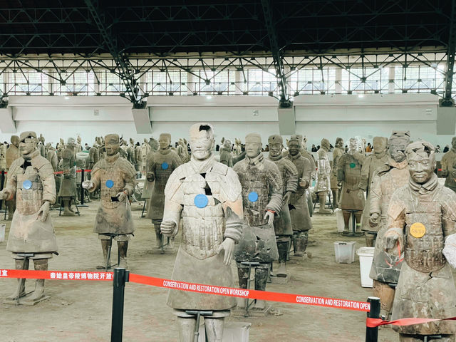 Terra-Cotta Warriors 西安兵馬俑🗿