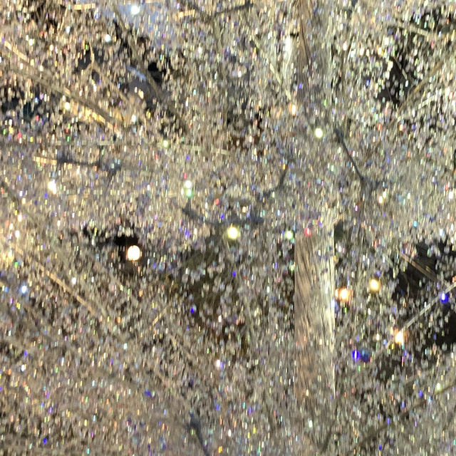 【箱根🇯🇵】キラキラと輝く✨ ガラスの森美術館