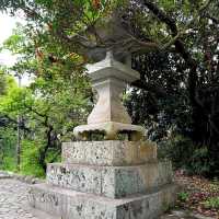 中井神社·隱秘靜謐