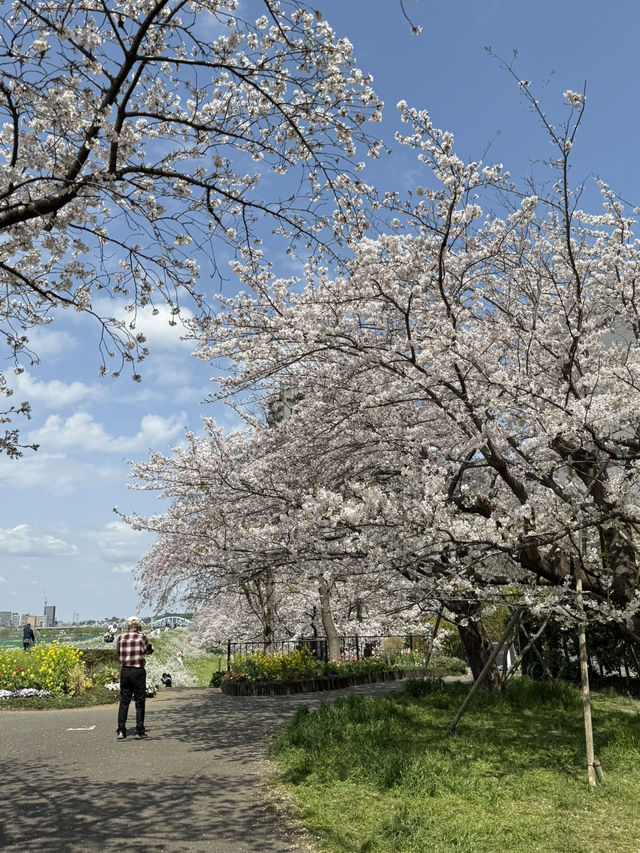 📍多摩川ガス橋緑地/東京