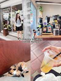 มัดรวมคาเฟ่สำหรับทาสแมว  พาไปคาเฟ่เด็กเอนฯ🐈