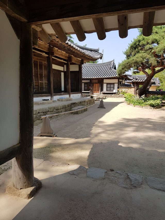 🌊 “낙동강 절벽 아래 고요히 머문 시간 – 안동 옥연정사”