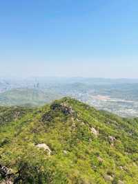 날씨가 좋은 날에 가기 좋은 등산코스🌳