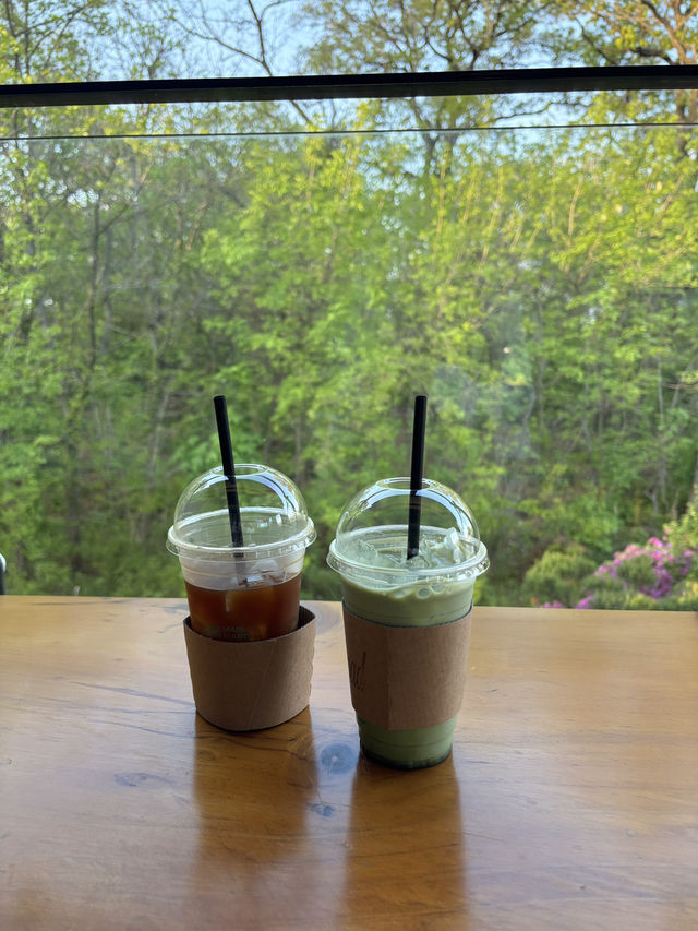 잔디밭이 넓어서 뛰어놀기 좋은 카페 빈로드💚