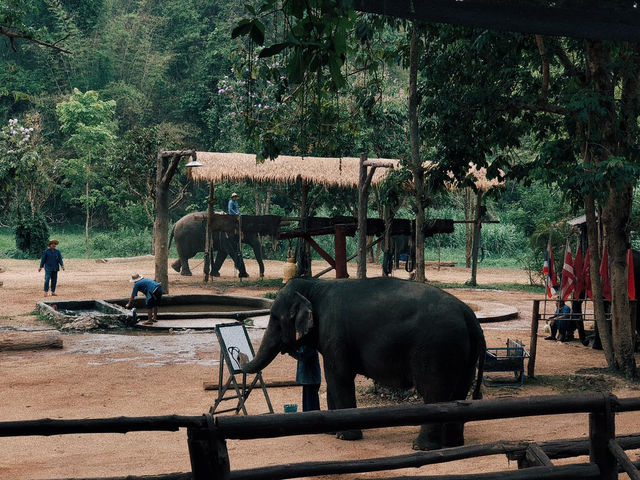 ศูนย์อนุรักษ์ช้างไทย ลำปาง