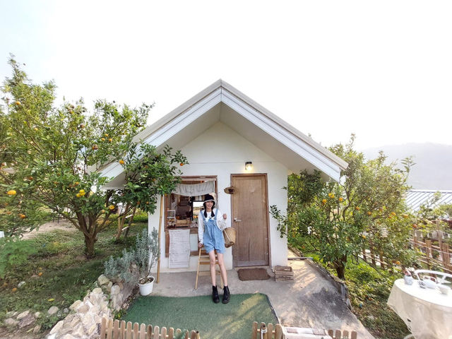 เกาหลีไม่ต้องบินไกล แค่มาแม่ริมก็ได้ฟีลแล้ว🍊