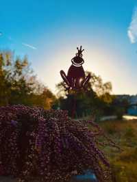 Wenden in Autumn: Where German Countryside Turns into a Golden Canvas