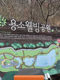 부산 기장여행 나들이 산책하기 좋은 용소웰빙공원