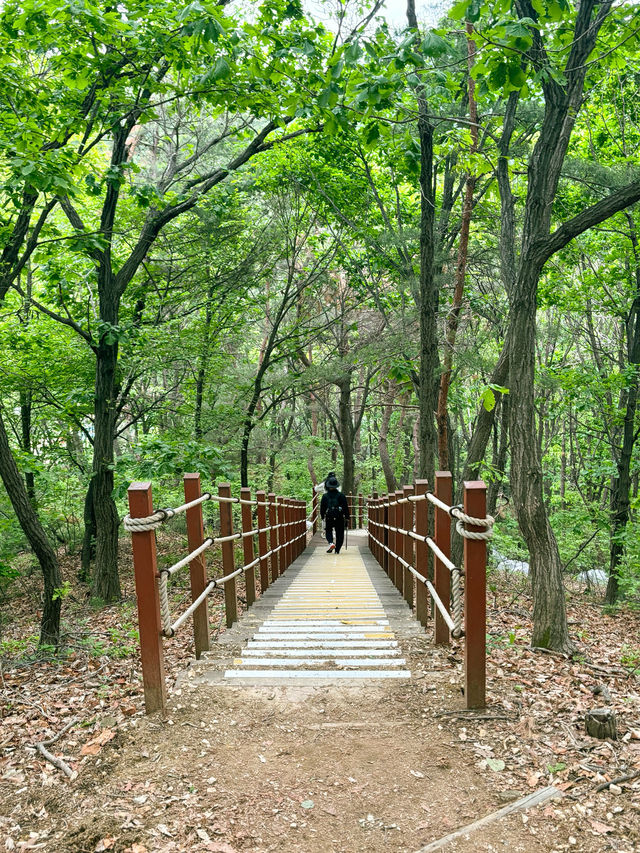 등산이 요즘 유행이래~🥾동탄 근교 가기 좋은 곳🏔️