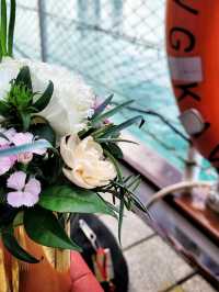 Romantic Dinner aboard the Royal Albatross Tallship