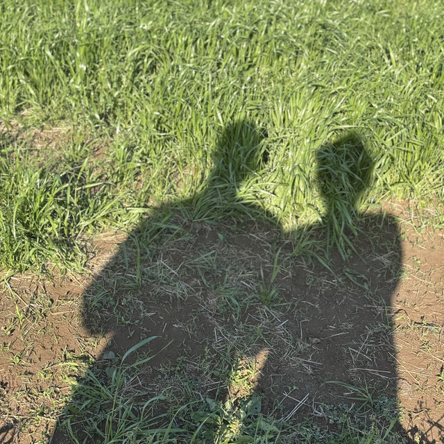 제주 가볼만한 곳 바리메오름