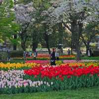 Seasonal Wonders at Showa Kinen Park