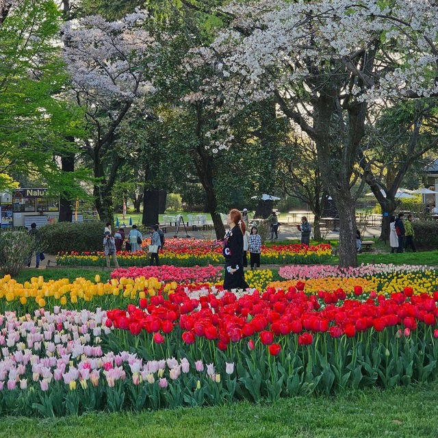 Seasonal Wonders at Showa Kinen Park