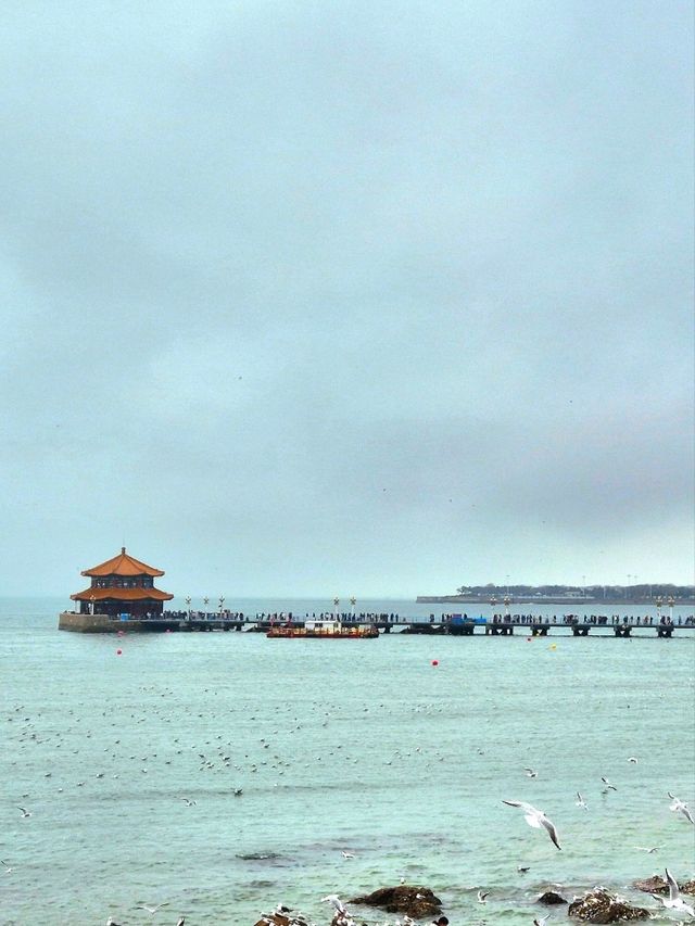 칭다오 바다위의 잔교(잔차오)🇨🇳