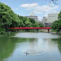 Spring Serenity at Tennoji Park