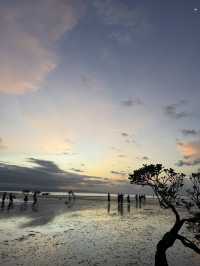 Dancing Trees and Golden Seas: Walakiri’s Hidden Magic