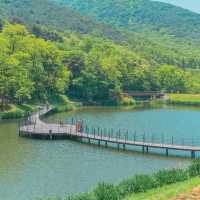 Jinbatgol forest park