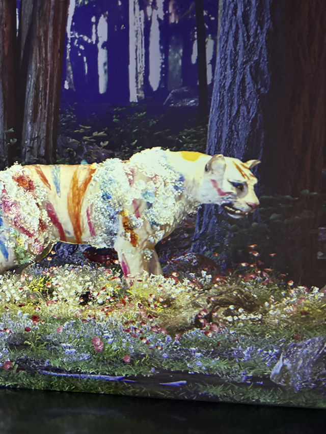 ｛韓國釜山｝ 韓國最大的藝術燈影博物館 - 釜山Arte Museum
