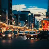 Kyoto – Where Every Blossom Tells a Story