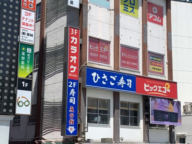 橫須賀享用道地的江戶前壽司🍣