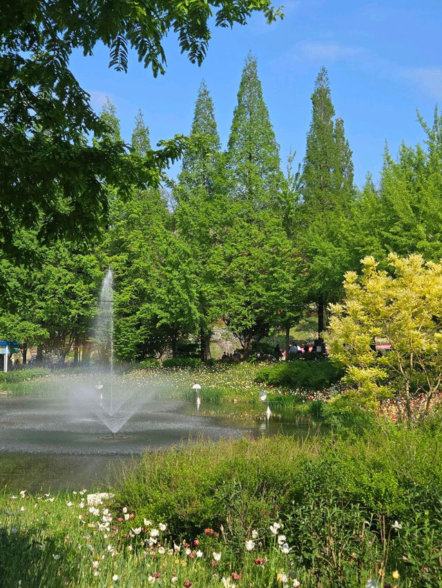 🌸가족 당일치기 여행으로 추천하는🌼피나클랜드 수목원🍃