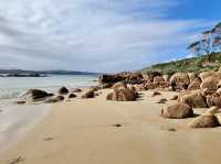 🌊🐧 A Perfect Weekend Escape to Cape Woolamai, Phillip Island! 🏖️🌅