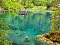 瑞士藍湖 Blausee，如畫一般的透藍翠綠絕景